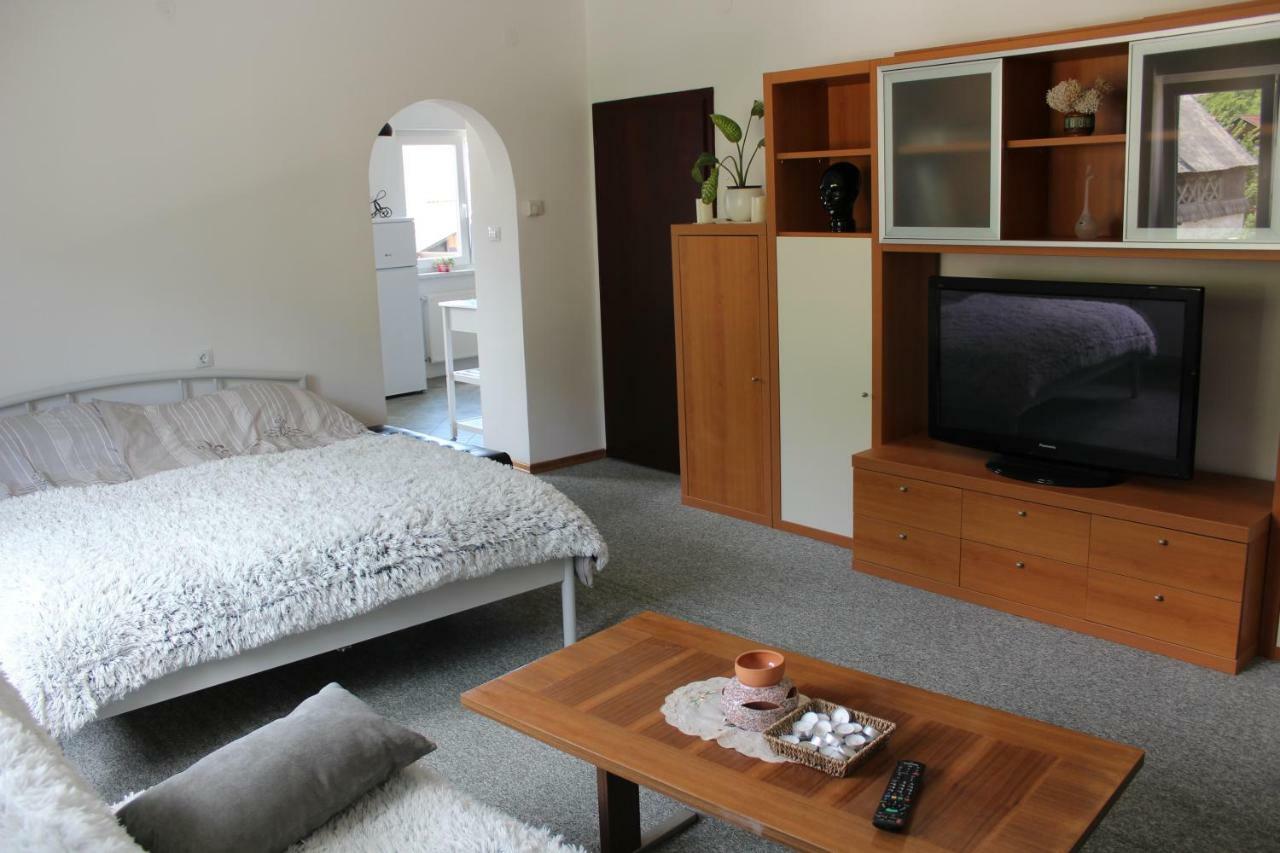 R&G Apartment Zirovnica Exterior photo